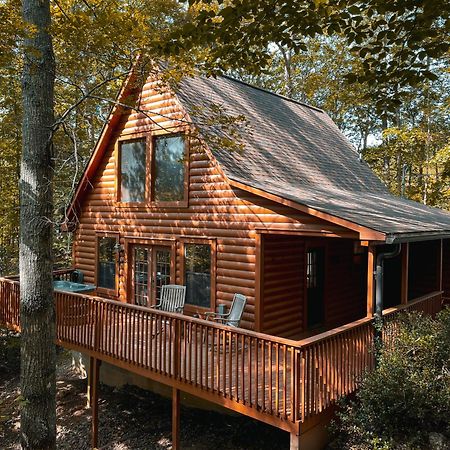 Great Smoky Mountains Cabin!, Secluded, Pet-Kid Friendly! 세비어빌 외부 사진