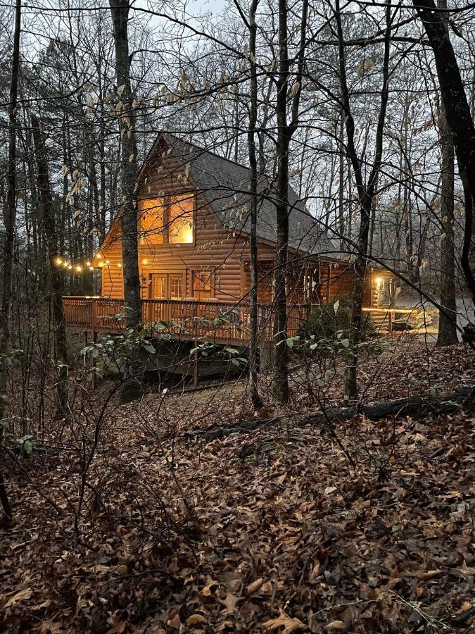 Great Smoky Mountains Cabin!, Secluded, Pet-Kid Friendly! 세비어빌 외부 사진